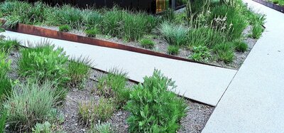 HEV_275755_275378.jpg