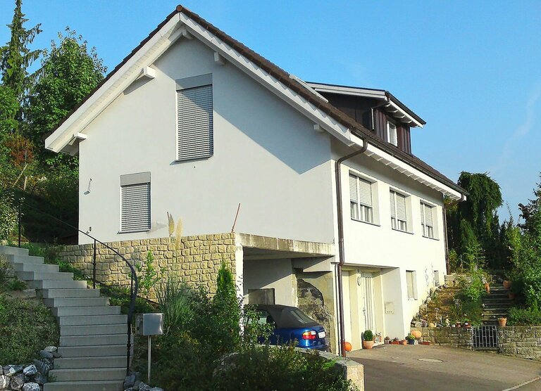 HEV_256257_255762.jpg