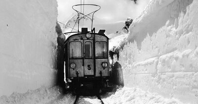 HEV_275644_270748.jpg