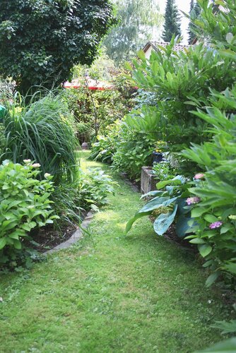 HEV_228443_225506.jpg