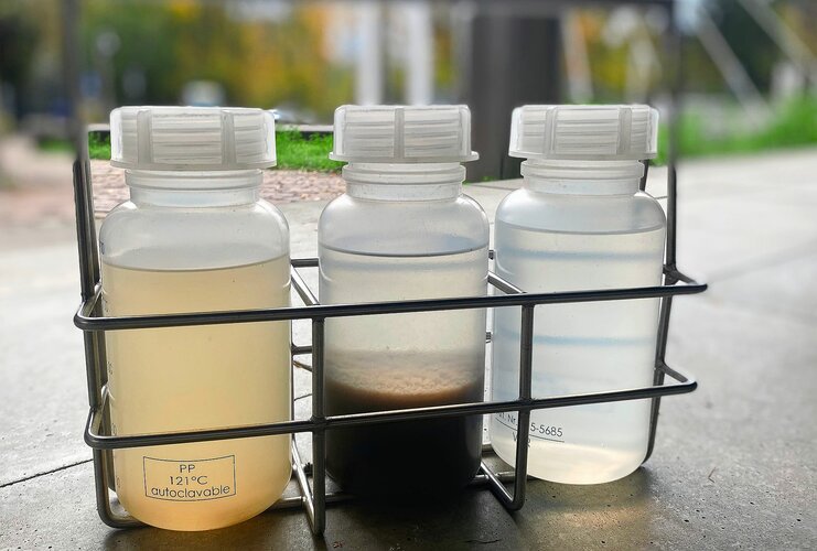 Plastikflaschen in einem Traggitter HEV_129319_122123.jpg