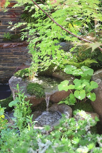HEV_267184_265876.jpg