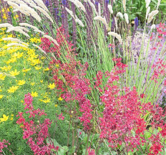 Blumenwiese HEV_181446_177052.jpg