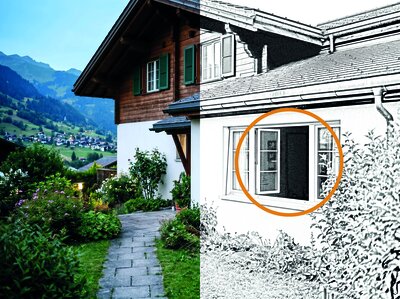 Haus
