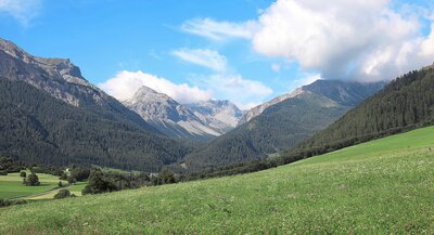 HEV_226825_223183.jpg